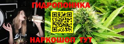 ALPHA PVP Канаш